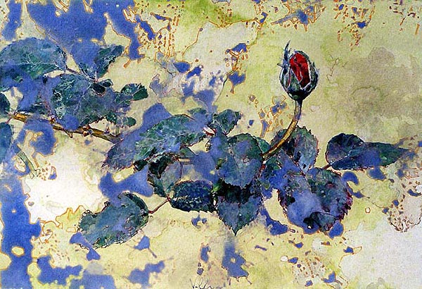 rosa sola prima-1992-cm.40x30